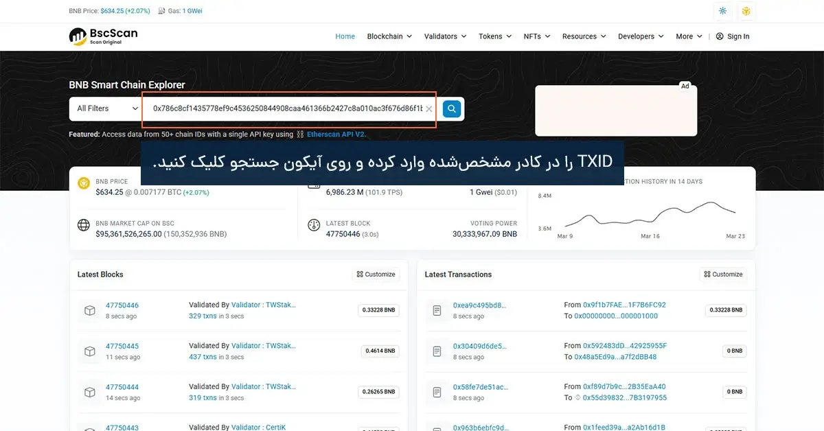 وارد کردن TXID تتر BEP20 در BscScan