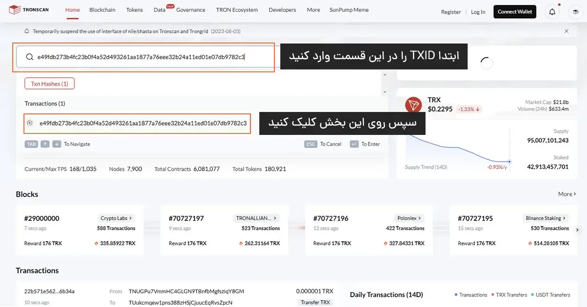 وارد کردن TXID تتر TRC20 در نوار جست‌وجوی Tronscan